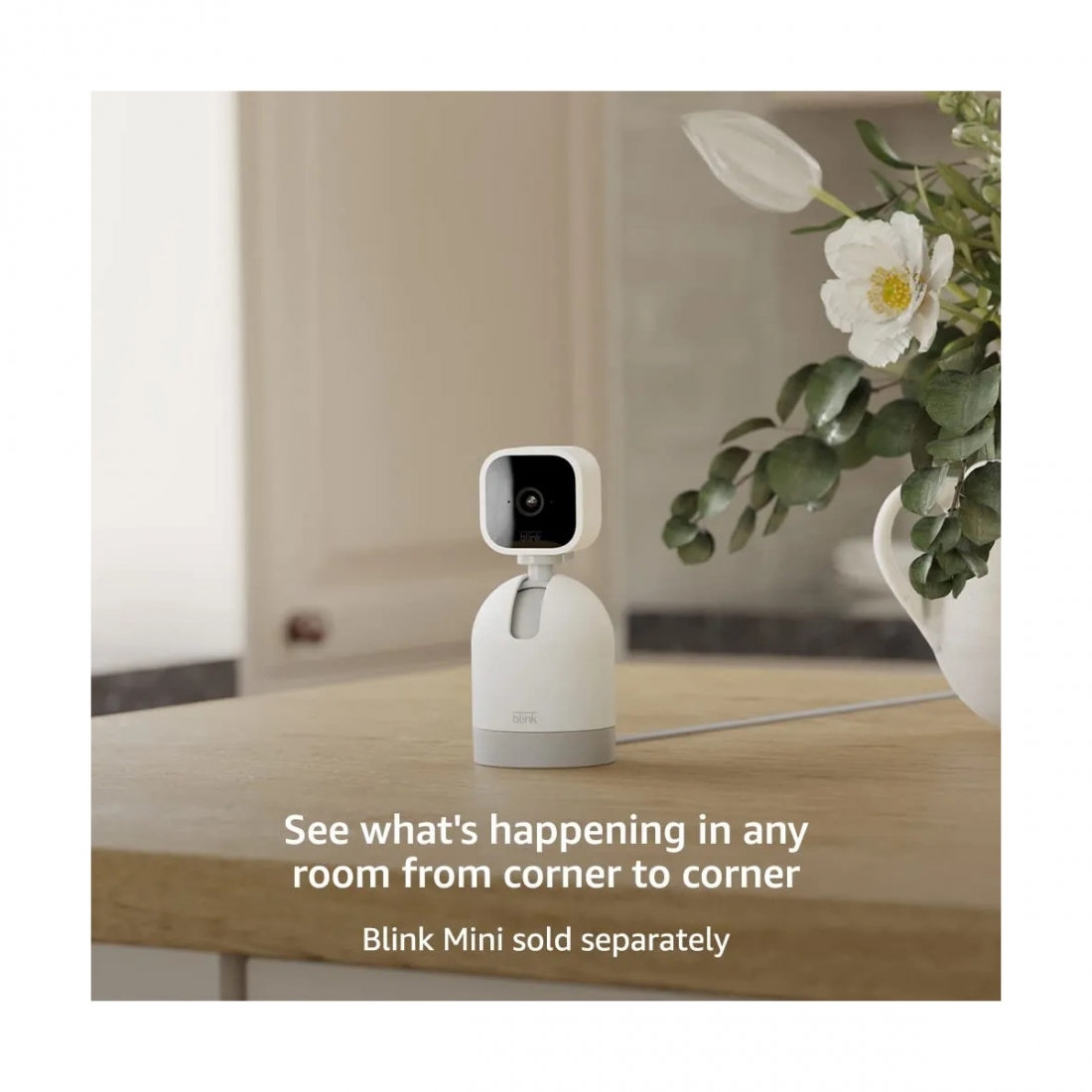 Blink Mini Pan-Tilt Mount for Mini Smart