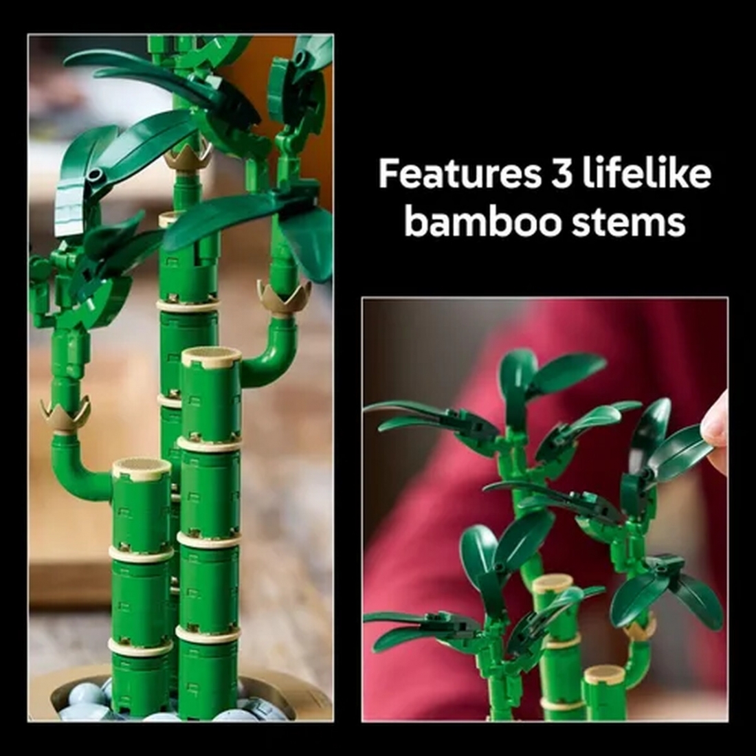 LEGO - Botanicals Lucky Bamboo Building Set for Adults 10344