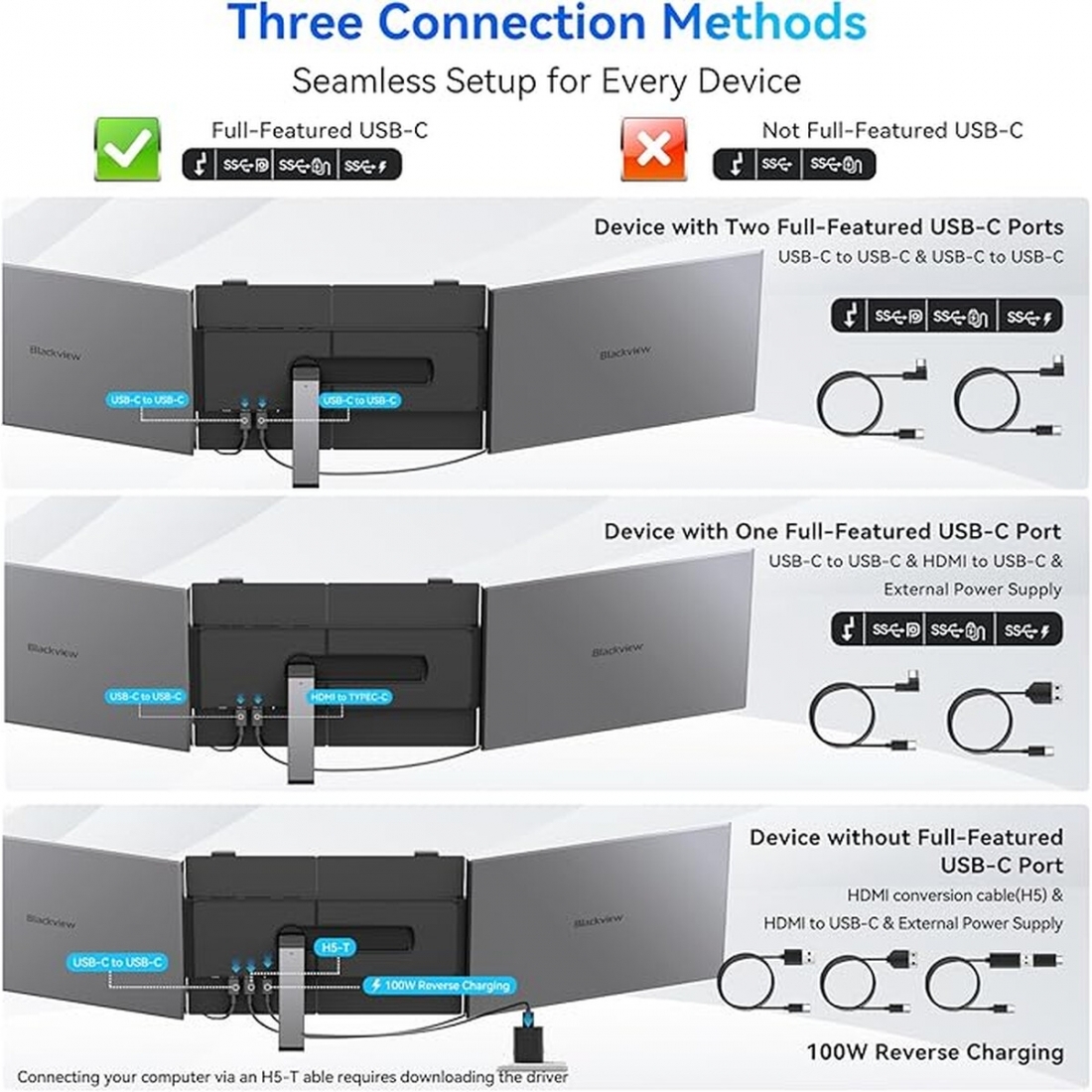 Blackview Ext. Monitor 14 TRIPLE Vision (DCM6), 1920x1080 Pixels,60Hz,